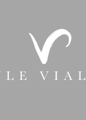 Kyle Vialli Logo