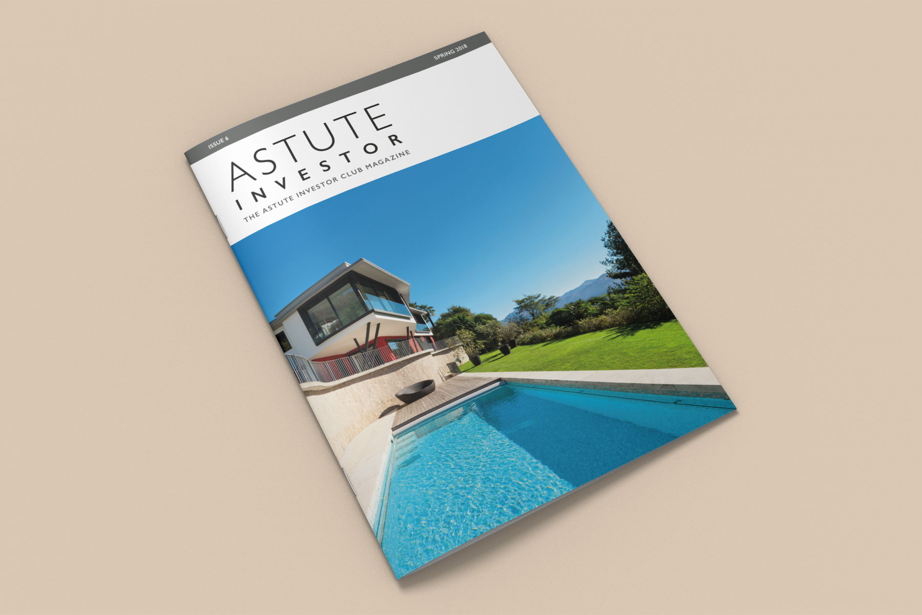 Magazine Design for Astute Investor